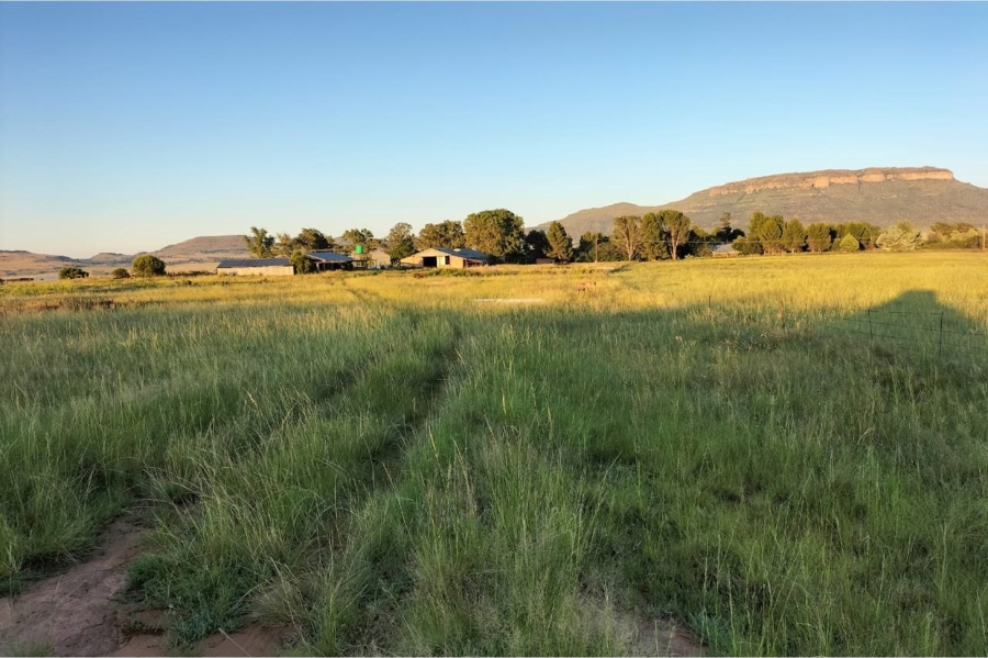 4 Bedroom Property for Sale in Ladybrand Rural Free State